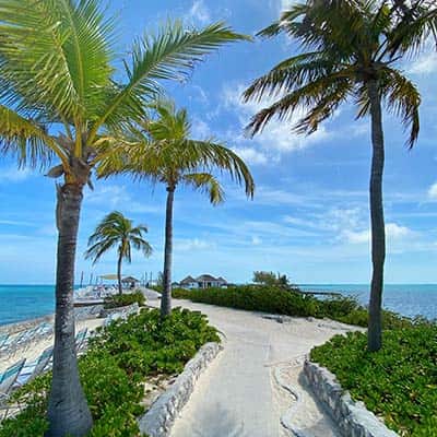 The palm-tree paradise of Pearl Island in The Bahamas
